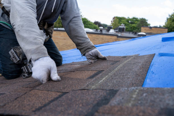 Best Roof Waterproofing Services  in Tucson Estates, AZ